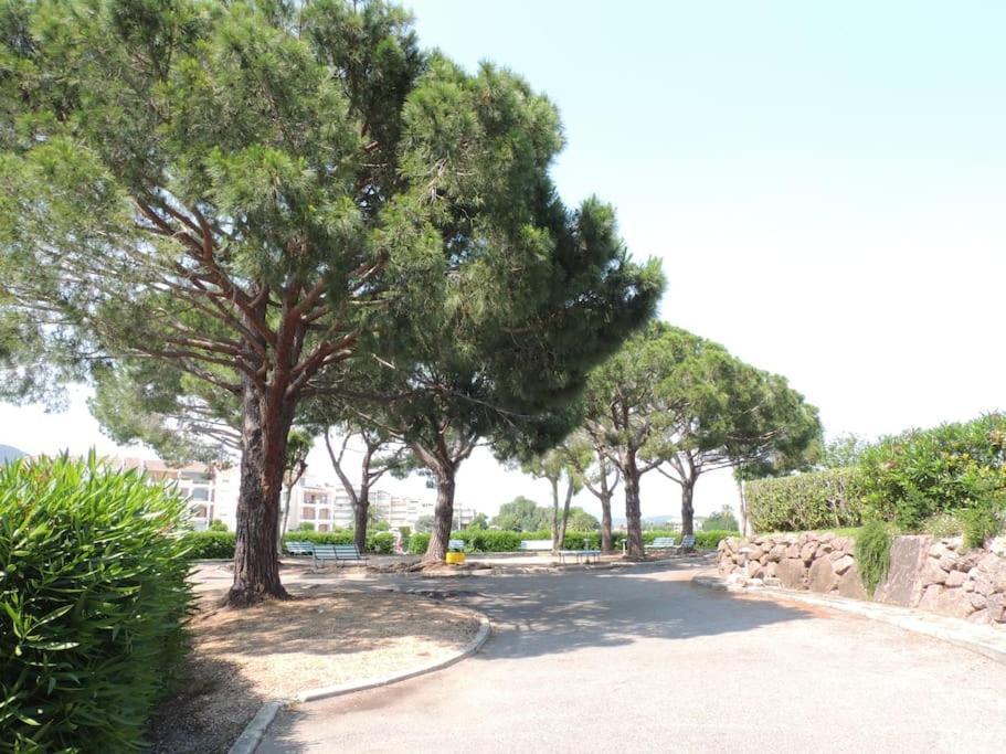Ginkgo Studio - Piscine, Proche De La Mer, Golf, Wifi Mandelieu Exterior foto